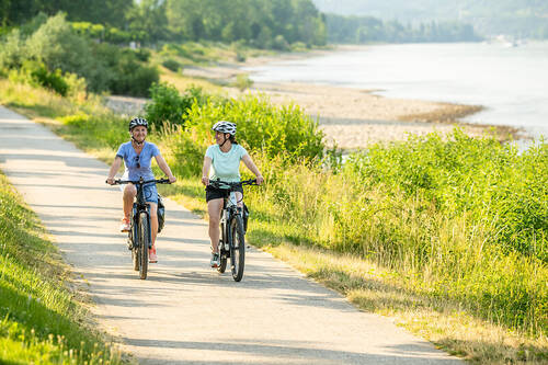 Rheinradweg bei Bad Breisig