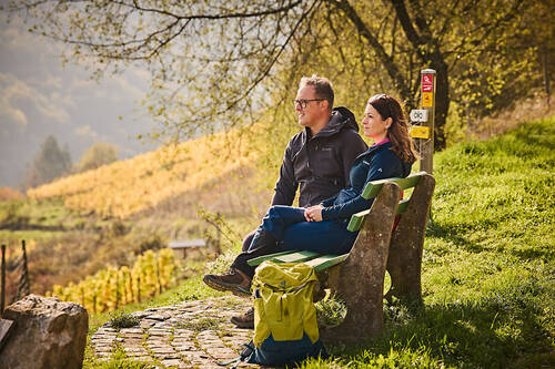 Wanderrast am RheinBurgenWeg