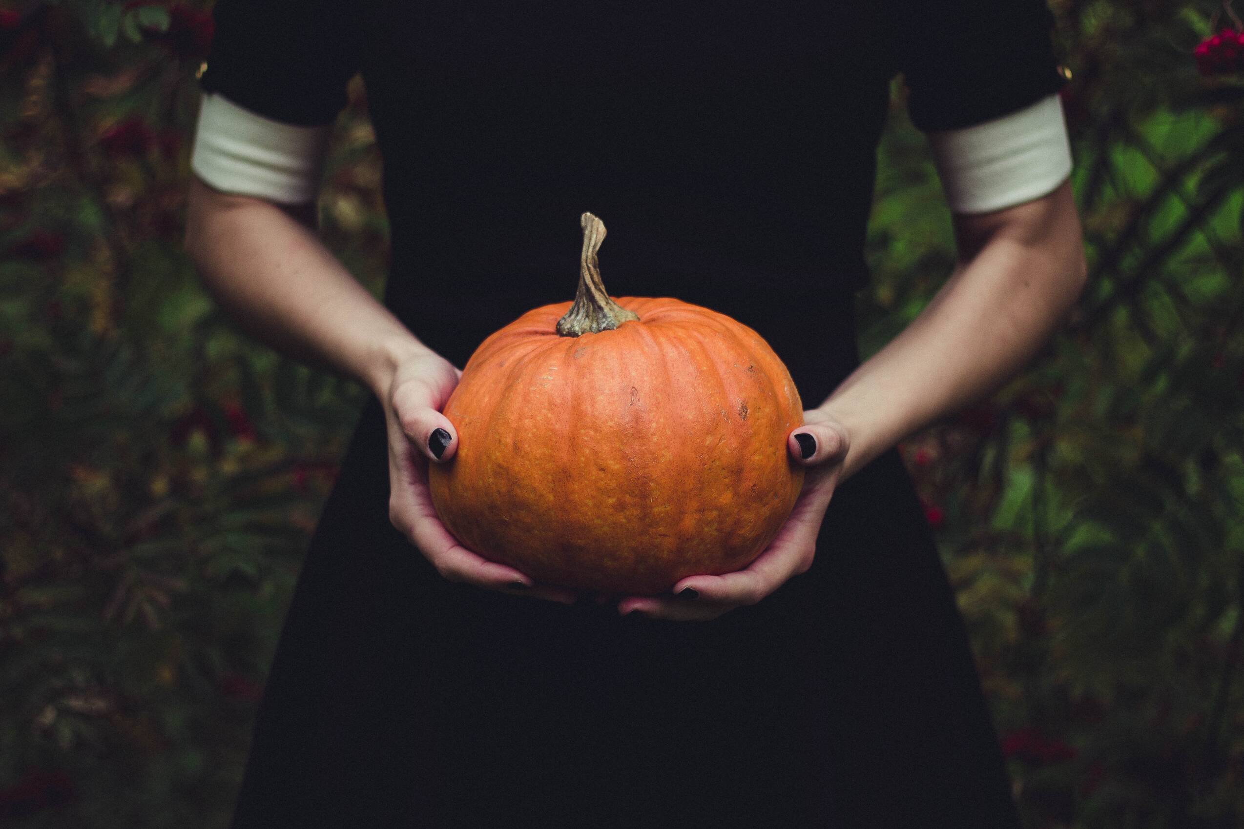 woman, pumpkin, thanksgiving, squash, food, halloween, hands, person, vegetable, gourd, harvest, pumpkin, pumpkin, thanksgiving, halloween, halloween, halloween, halloween, halloween