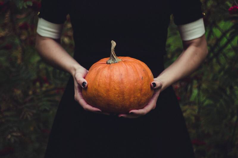 woman, pumpkin, thanksgiving, squash, food, halloween, hands, person, vegetable, gourd, harvest, pumpkin, pumpkin, thanksgiving, halloween, halloween, halloween, halloween, halloween
